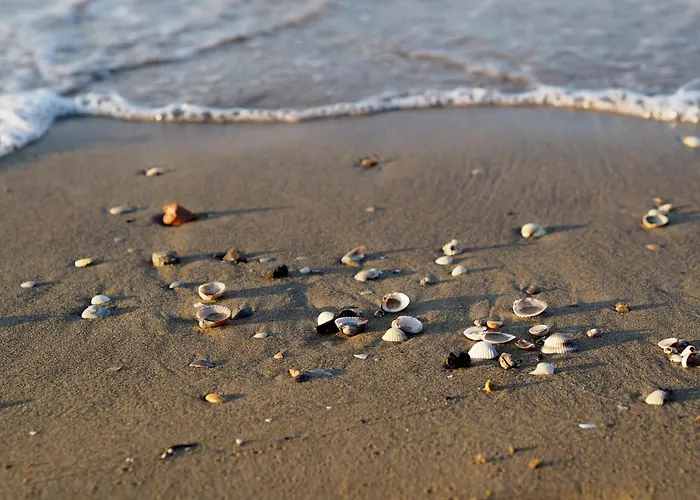 Daire In A Complex With 3 Swimming Pools Bibione