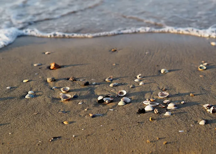 Daire In A Complex With 3 Swimming Pools Bibione